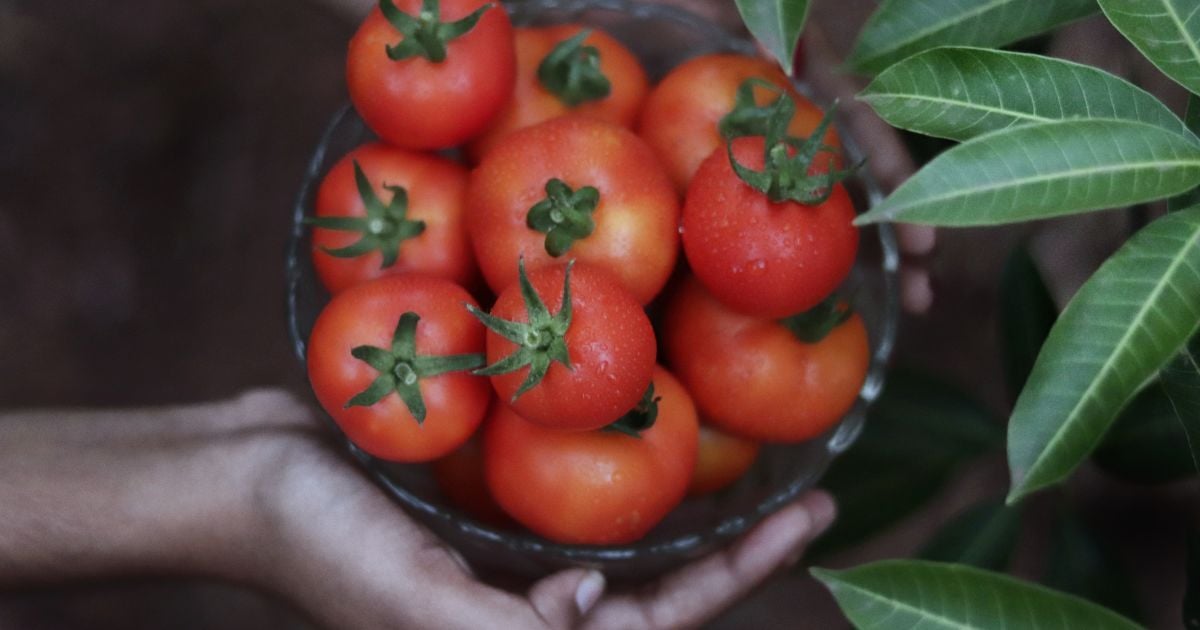 Ăn Uống Lành Mạnh – Bí Quyết Giữ Huyết Áp Ổn Định